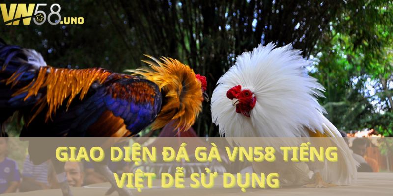 Giao diện đá gà VN58 tiếng Việt dễ sử dụng